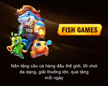 Quản lý đạn và tài chính hiệu quả